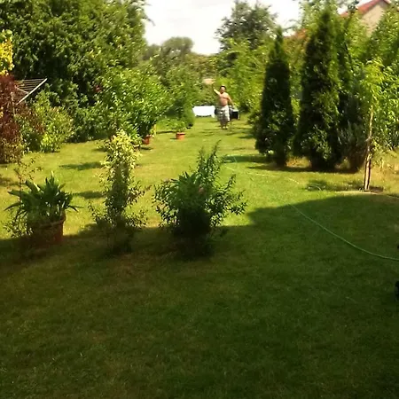 Eko-penzion Hamry Guest house *
